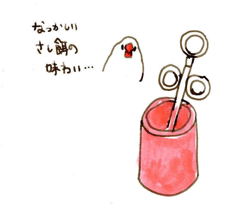 buncho_06