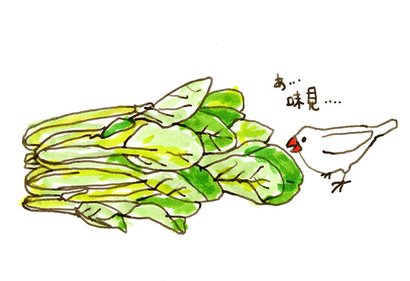buncho13_end