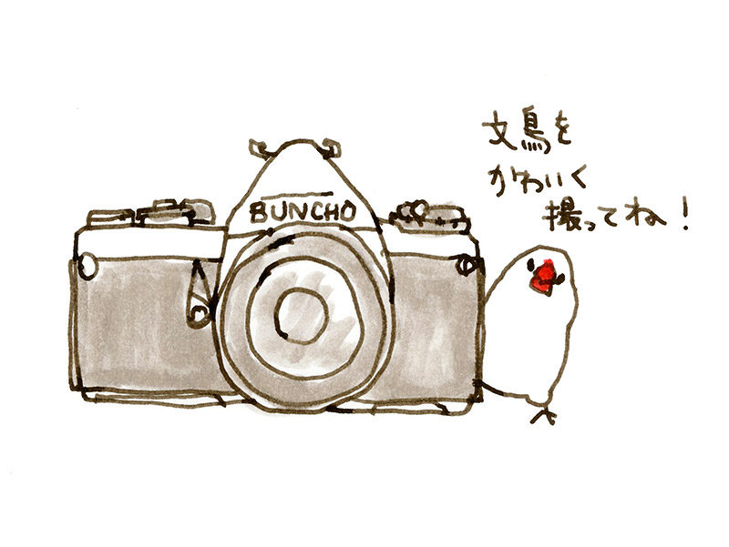 buncho_end_14