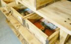 gallery_s_16