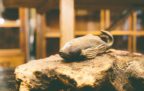 otsu_furniture_21