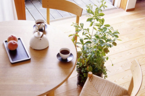 日本の里山の風景を我が家にも。ユニットを置くだけの手軽な緑化とは?【里山ユニット】