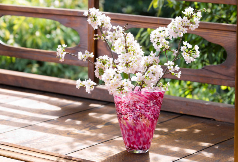 弘前桜花あかり