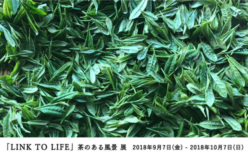 LINKTOLIFE