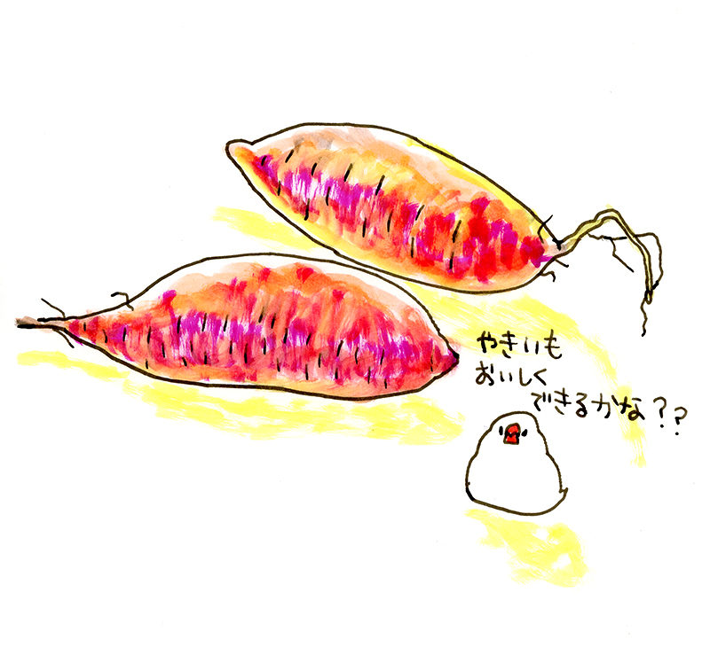 1902_1_buncho