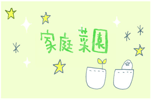 家庭菜園