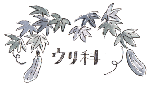 ウリ科