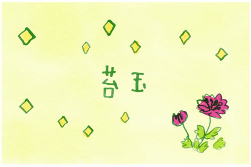苔玉