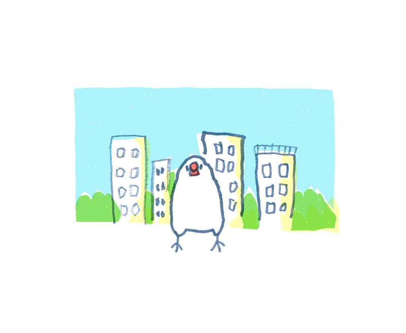 2005_1