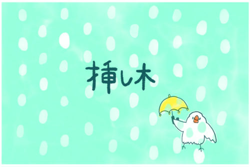 挿し木